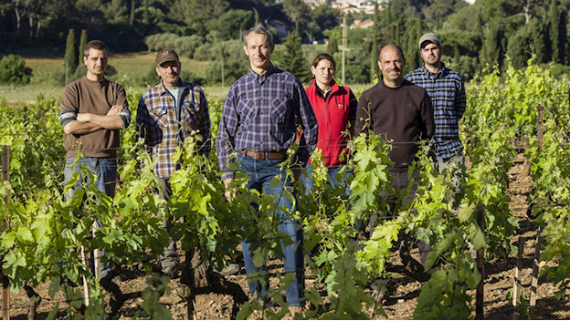 Domaine de Terrebrune